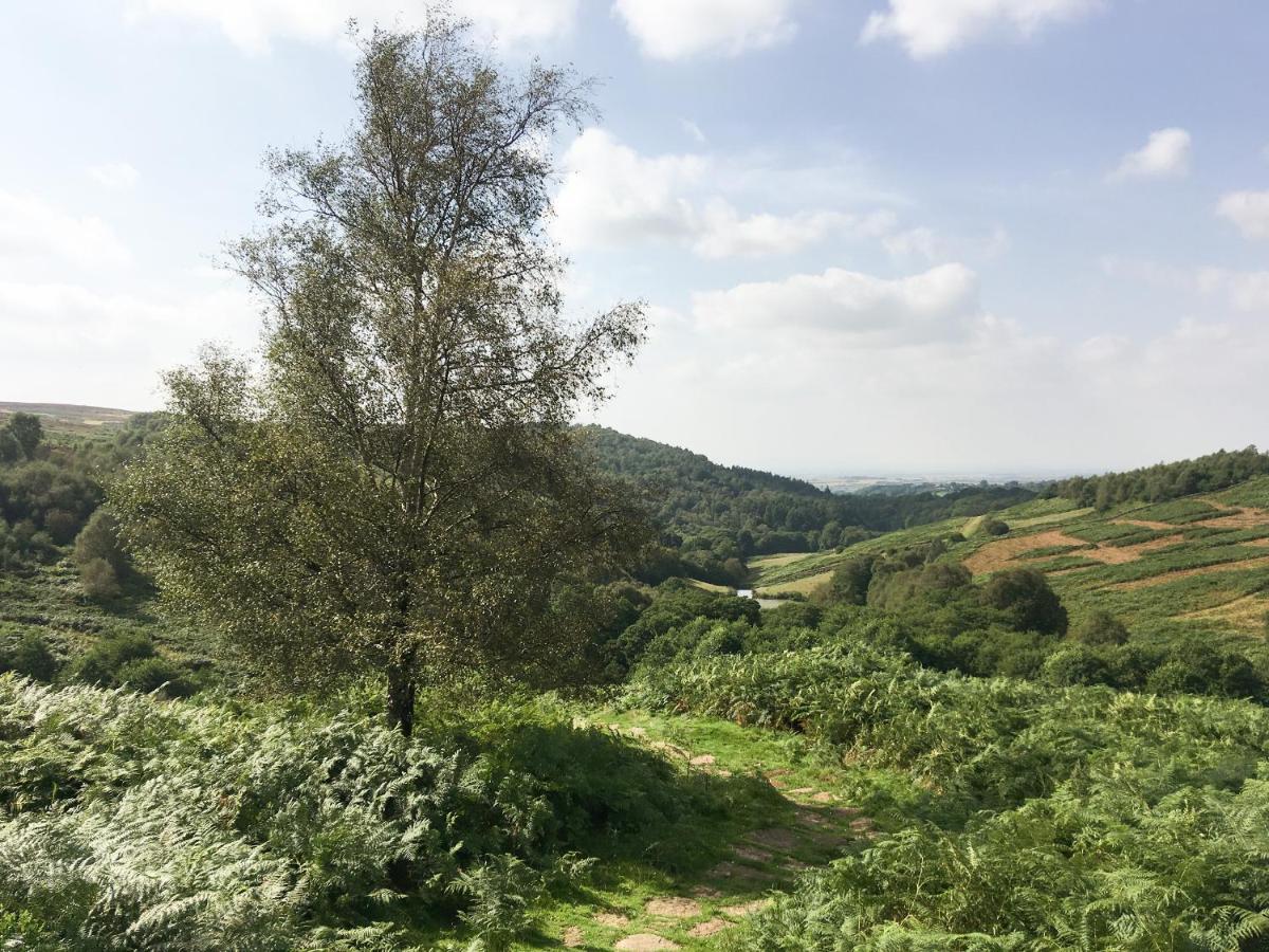 Ickle Pickle Cottage Thirsk Dış mekan fotoğraf